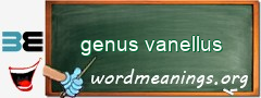WordMeaning blackboard for genus vanellus